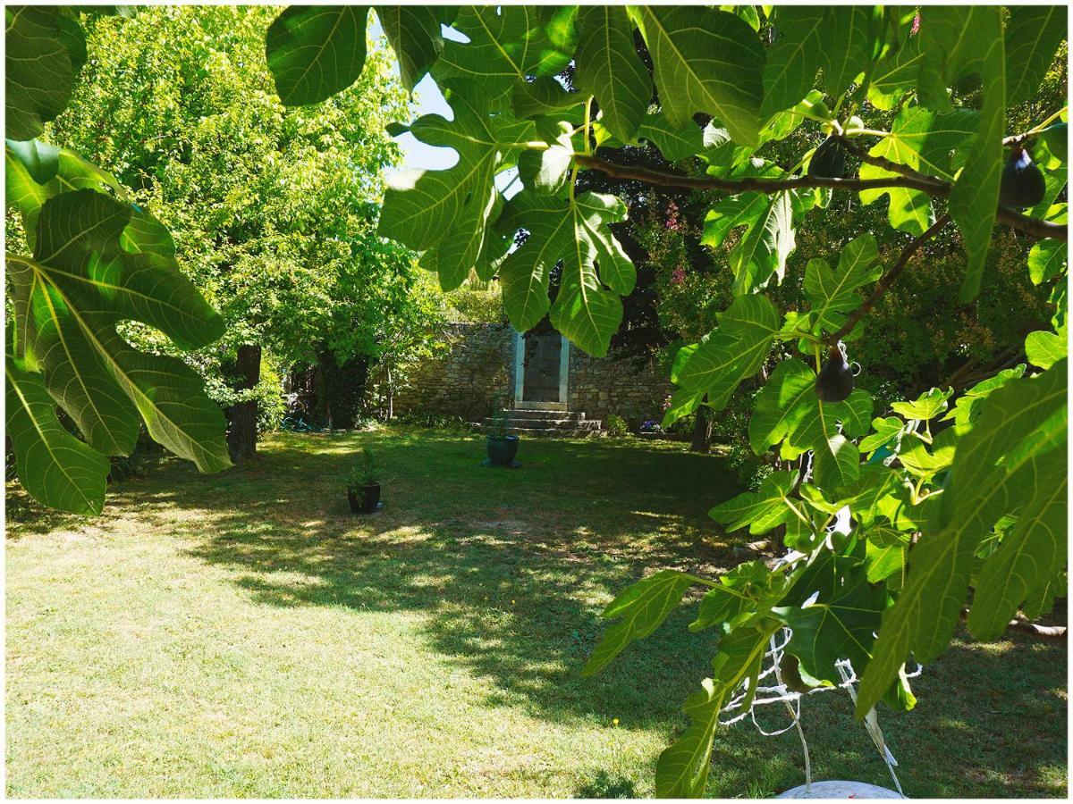 Chambre D'Hote La Romaine Vaison-la-Romaine Ngoại thất bức ảnh
